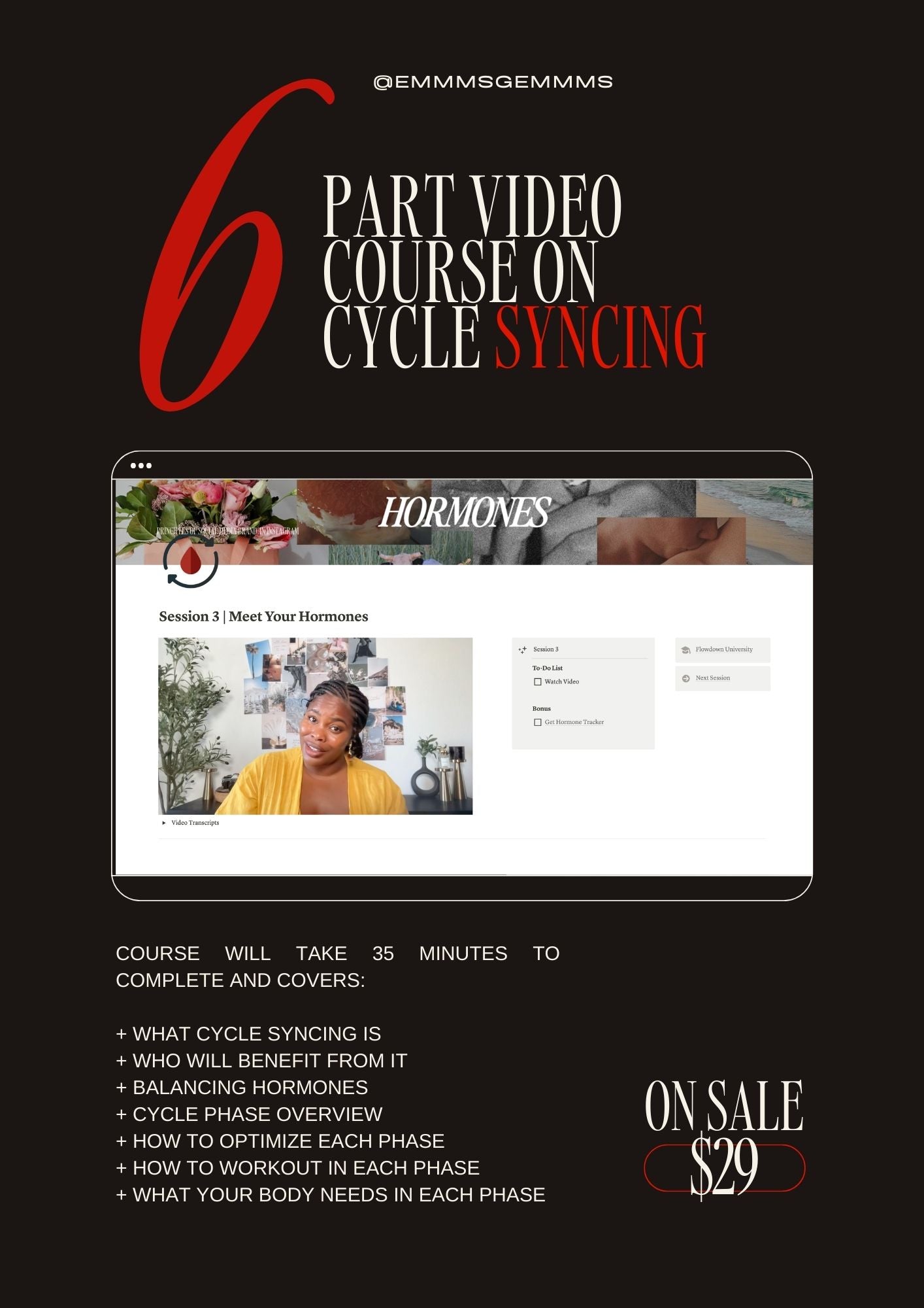 The Flowdown | A crash course & Notion Template on Cycle Syncing